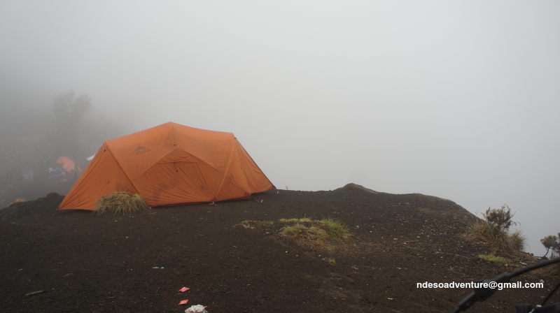 Our Tents for private tour for climb Mt Rinjani, Indonesia