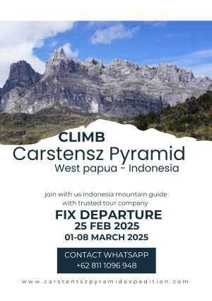 Mount Carstensz